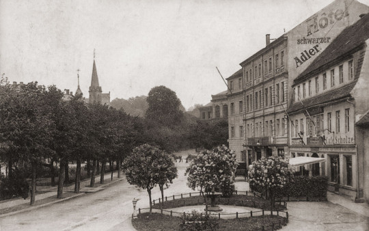 Schwarzer Adler 1912